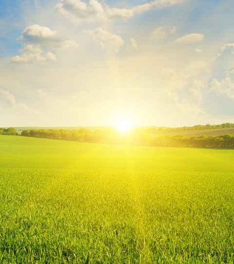enviropic enviropic